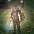 stoneguard