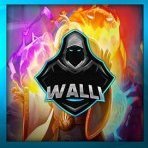 TheWalli
