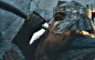 gimli101