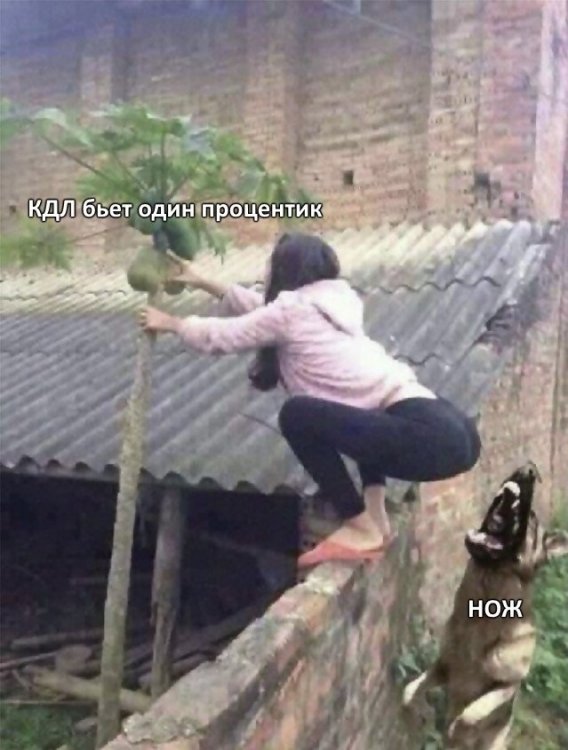 52.thumb.jpg.db4e92df07bce49c115bb5b45d001c14.jpg