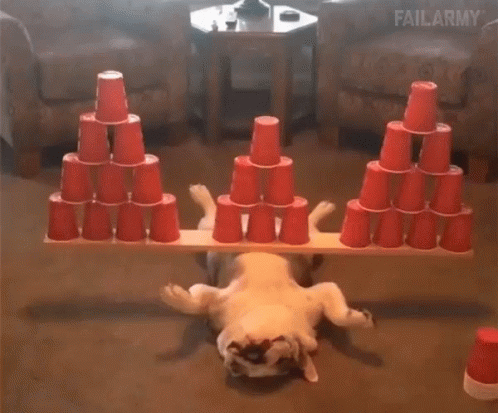 chill-relax.gif.67d1d25c9ff4ee5d8aafc0727b9567b8.gif