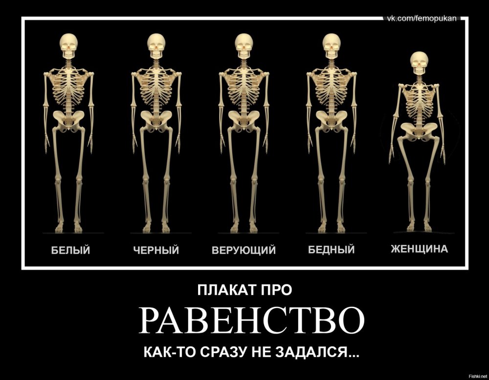 9daa288a3b0aa538b20b40bcc9b2bd55.thumb.jpg.791ecaf4fe9a8368c7d00b8aded45123.jpg
