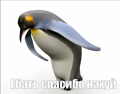 uERamO4Tzo6Qa30YR1gZQiFhEWkXOuGT5xFHaN4g9EZxWEVx5vsXmMf1Y7le9Sm0ufOI9lwTYnuUfY7sXpdPbi6OIFXViCKwNrr7I4KdW3hpNINQEwWi1afAPKwxD720.jpeg.c494997514470a905224c9f62044787f.jpeg