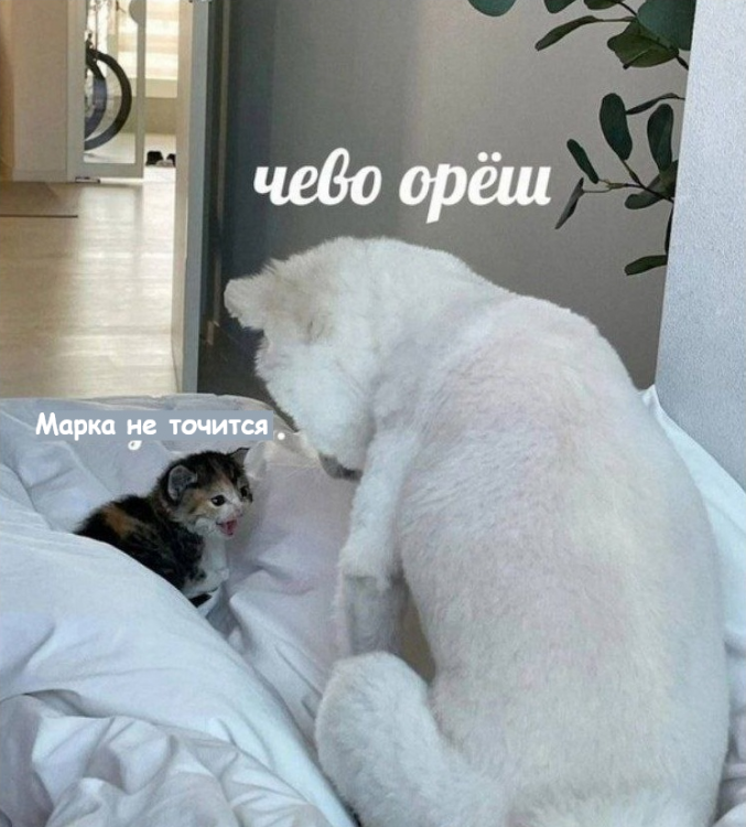 image.thumb.png.b948ed37f205997fc2dc3a56870de8f3.png