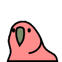 Twit