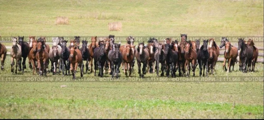 Screenshot_2026-08-04-08-23-55-229_com.yandex.browser-edit.jpg