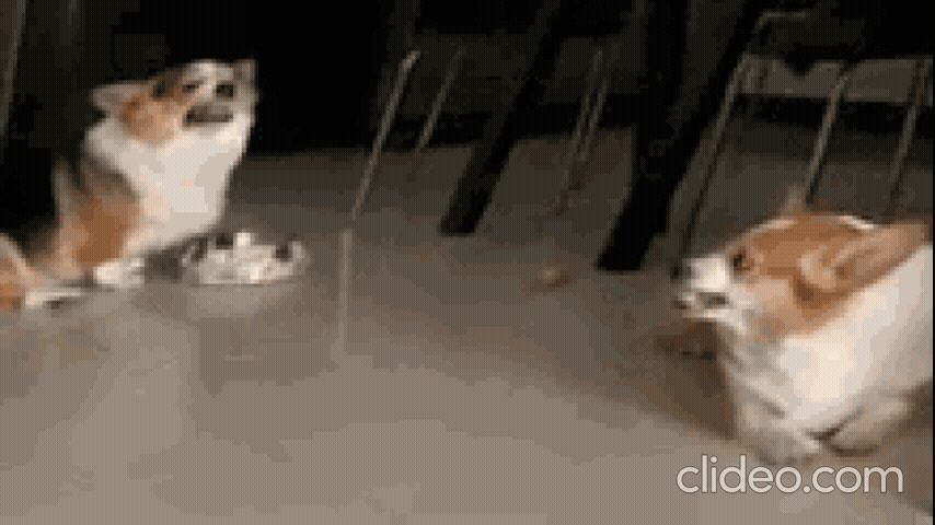 %D0%93%D0%B8%D1%84%D1%84.gif.85133e03e97b30809e99190af3520c87.gif