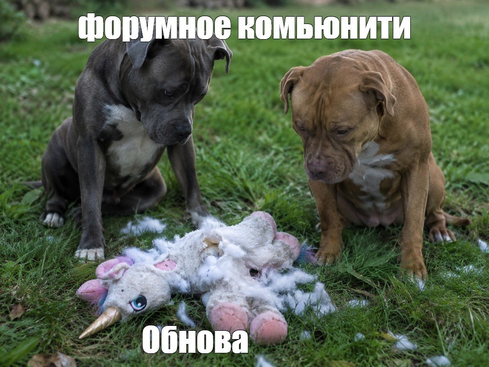 338324290_1.jpg.7e2f111aa9ec03af266c6b4b808facfd.jpg
