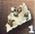 image.png.68b0247b89009b7e23994b86a45d0f13.png