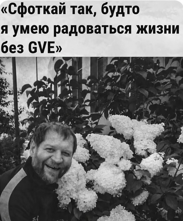 image.thumb.png.bbe39cf8fc9a05344e4db43ac02c8f0b.png